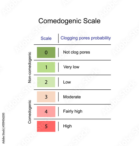 Comedogenic scale, how likely an ingredient is able to clog pores and cause acne, ranges from 0 to 5. Skincare products. Scientific vector illustration.
