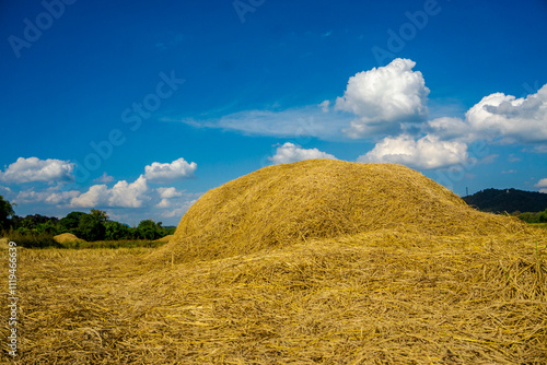 Canvastavla A scenic view of a haystack under a clear sky, representing rural life, agriculture, and the harvest season