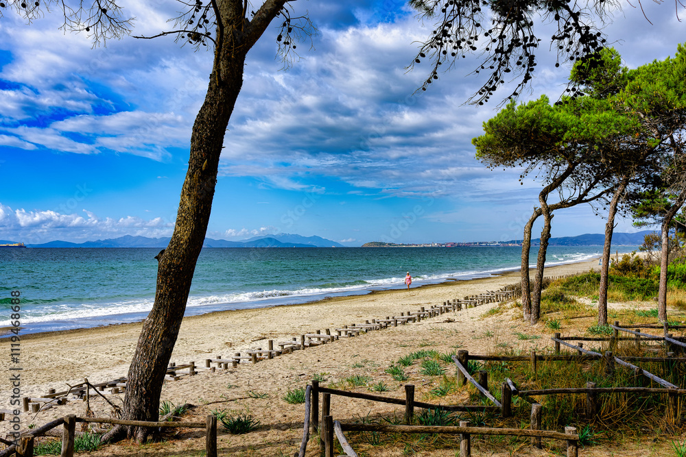 View of the landscape of the Sterpaia Coastal Park in Riotorto Tuscany Italy View of the landscape of the Sterpaia Coastal Park in Riotorto Tuscany Italy