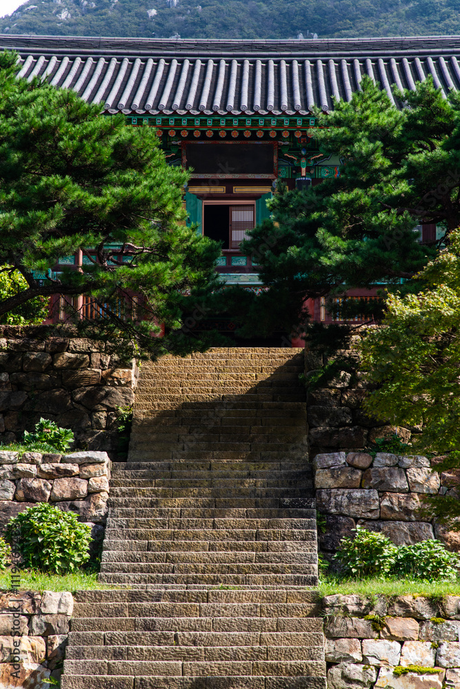 pine trees and Buddhist temple building pine trees and Buddhist temple building