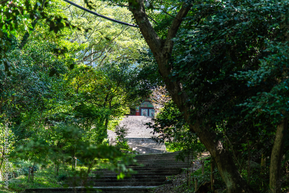 stairway to the Buddhist temple in the forest stairway to the Buddhist temple in the forest
