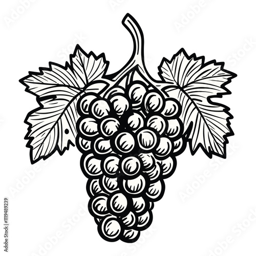 Grapes and Leaves Artwork in Engraved Vintage Black and White Style