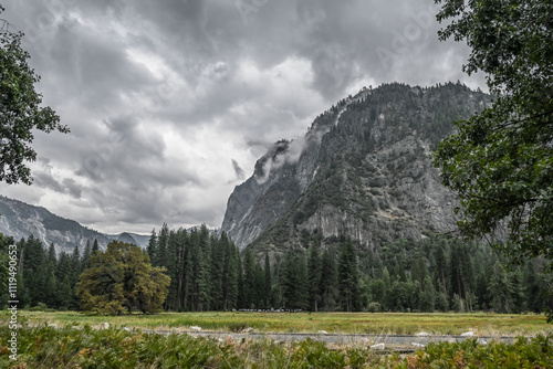 Canvas Print View of the towering, granite cliffs of Yosemite, from the valley floor, with lo
