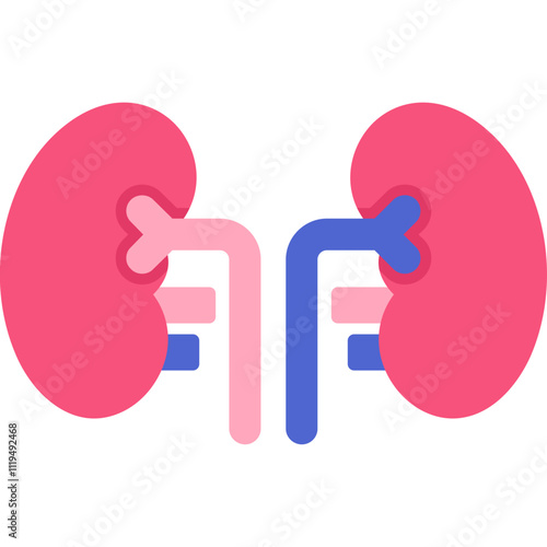 Kidneys Icon