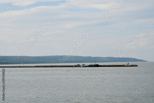 A view of a seaside town located next to a rocky coast and a beach covered with reeds and shrubs near a lush forest, with numerous boats moored near marinas and ducks or seagulls swimming and grazing photo