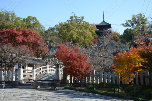 金戒光明寺　極楽橋と三重塔　京都市左京区黒谷 photo