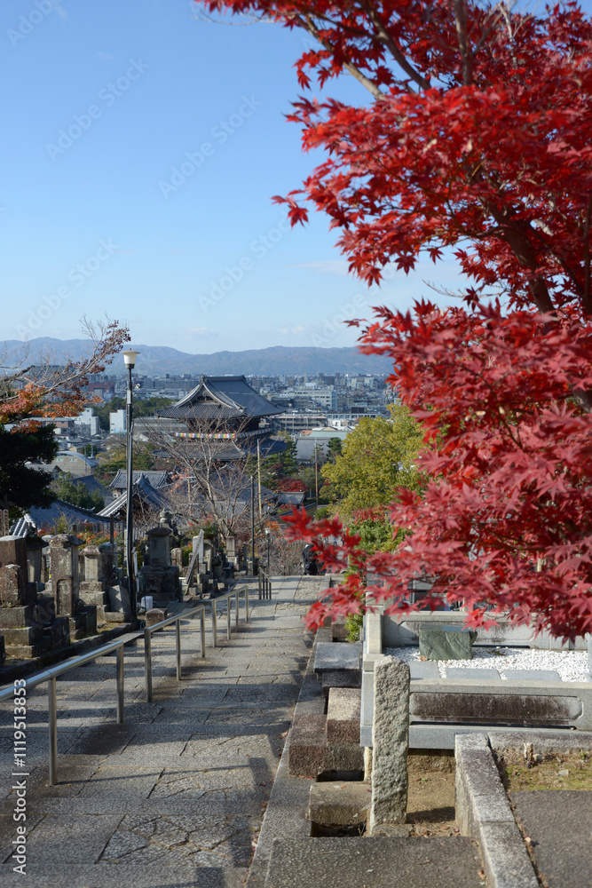 Naklejka premium 金戒光明寺 山門遠望 京都市左京区黒谷