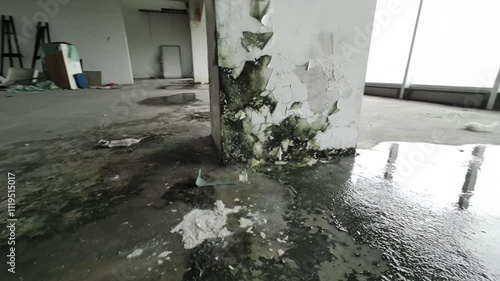Fungus and mold infested corner of old room full of moisture and leaking roof. Mildew is on white interior wall by the window.