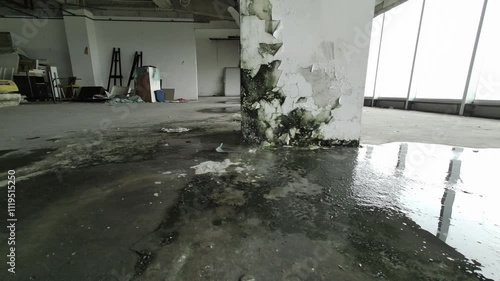 Fungus and mold infested corner of old room full of moisture and leaking roof. Mildew is on white interior wall by the window.