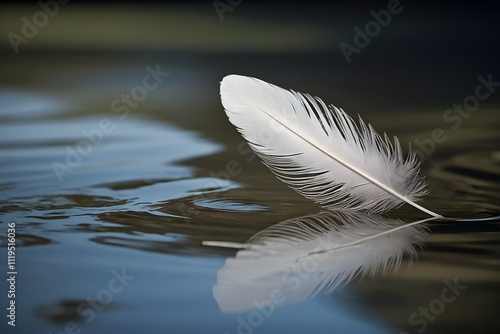 A single white feather floats gently on calm water, surrounded by soft ripples. The minimalist scene highlights delicate textures, reflective surfaces, and soft light, evoking serenity and elegance.