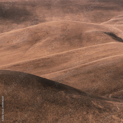 Mocha Mousse, Pantone 2025. monochrome natural landscape with hills at sunrise or sunset in off-season. mountain background