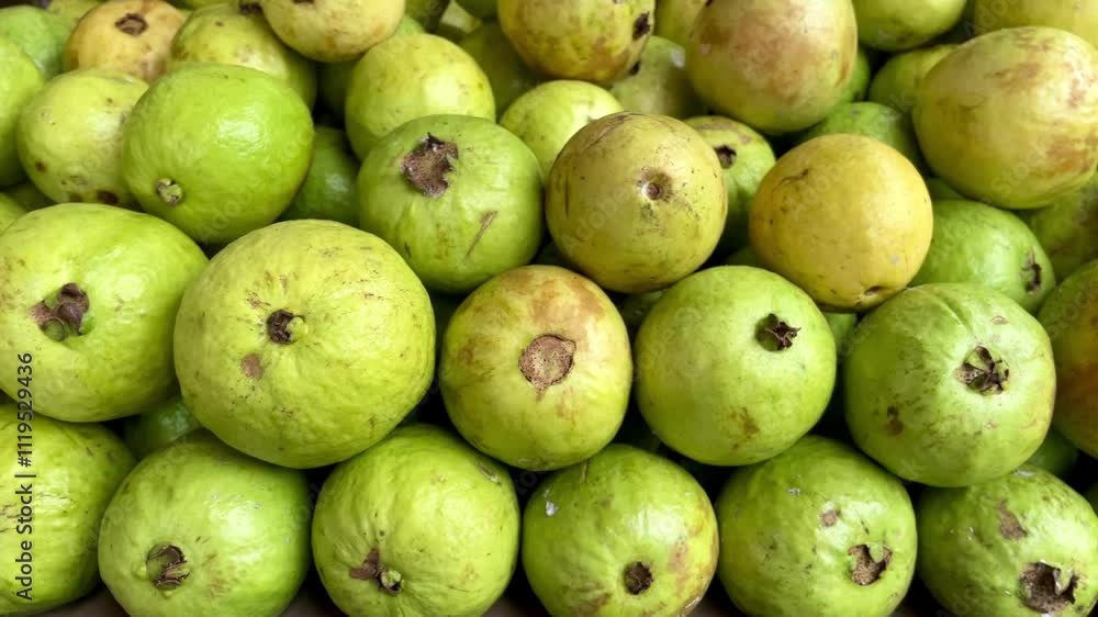 Pile of yellow and light green guava fruit at a fresh fruit vendor. fresh green guava fruit background Pile of yellow and light green guava fruit at a fresh fruit vendor. fresh green guava fruit background