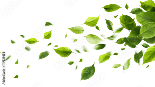 Flying fresh leaves on white background space for text