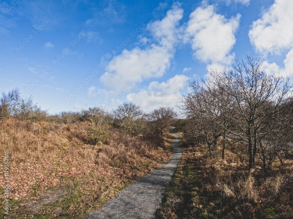 Coastal dunes, rich in birds, with marked hiking and cycling trails, plus a nature center in Netherlands. Typical Dutch landscape near the sea with beautiful paths for walking Coastal dunes, rich in birds, with marked hiking and cycling trails, plus a nature center in Netherlands. Typical Dutch landscape near the sea with beautiful paths for walking