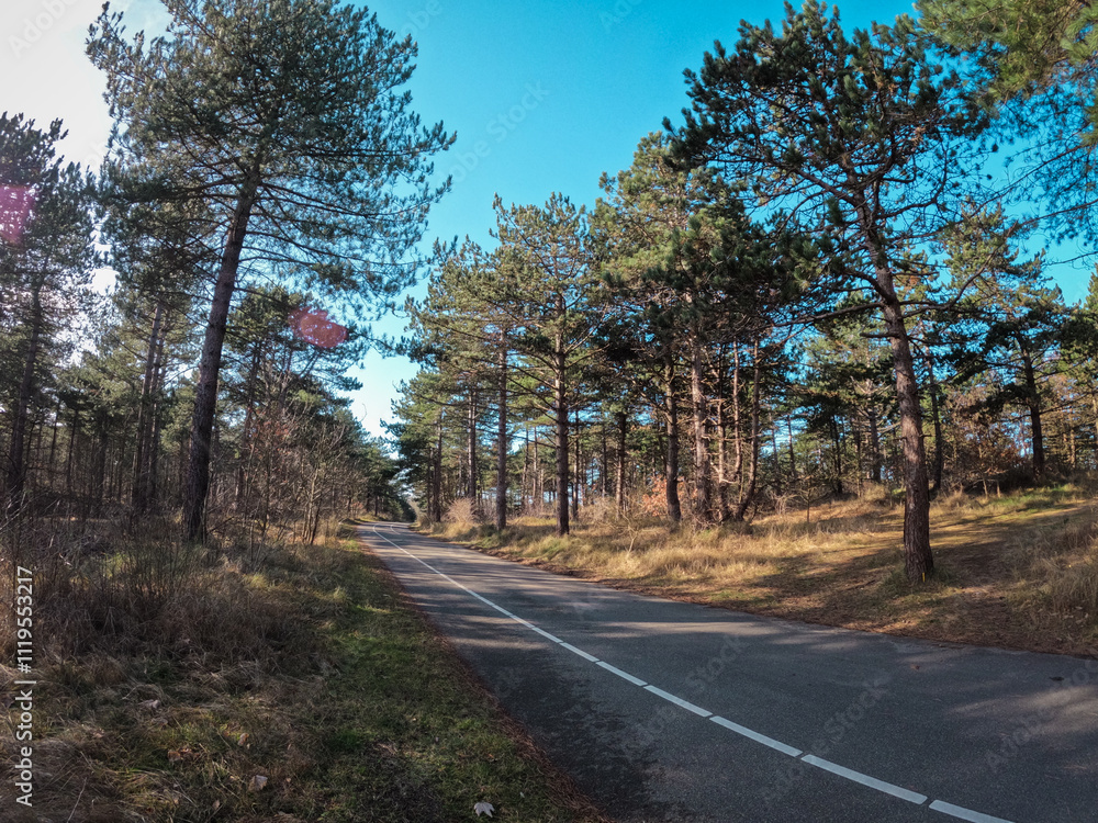 Coastal dunes, rich in birds, with marked hiking and cycling trails, plus a nature center in Netherlands. Typical Dutch landscape near the sea with beautiful paths for walking Coastal dunes, rich in birds, with marked hiking and cycling trails, plus a nature center in Netherlands. Typical Dutch landscape near the sea with beautiful paths for walking