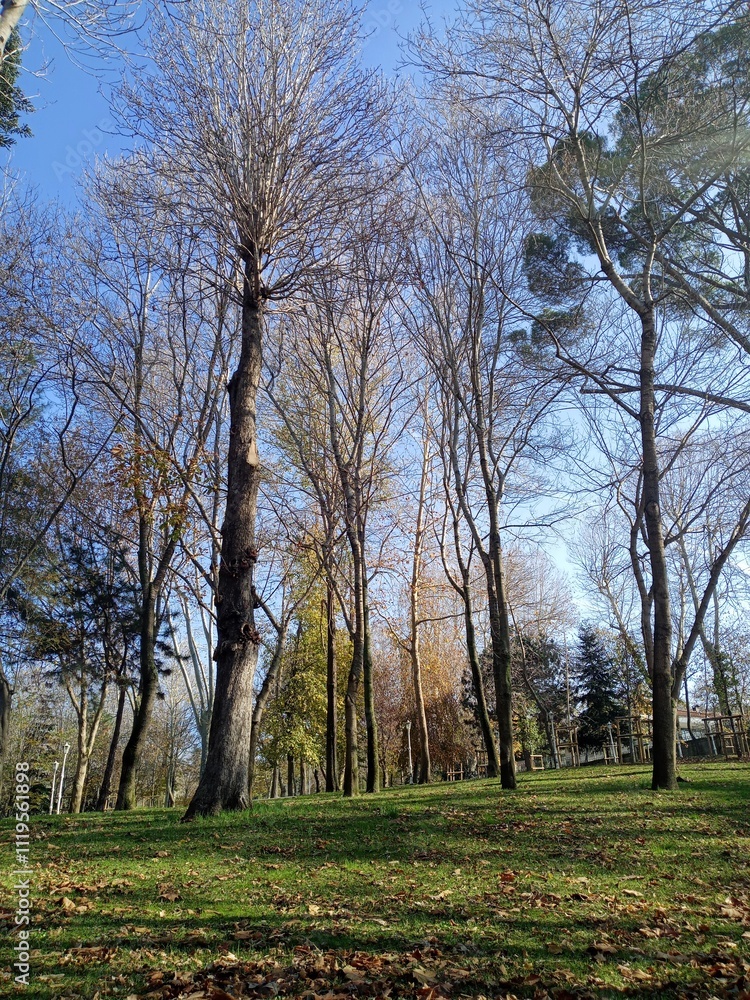 Park in Beykoz Park in Beykoz