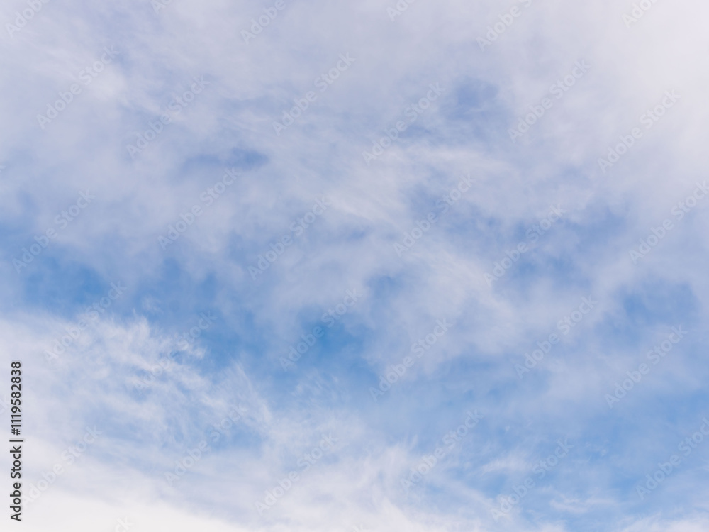 冬の薄雲が広がる空17