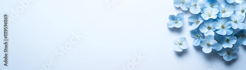 blue flowers against soft light white background, for nature-inspired designs.
