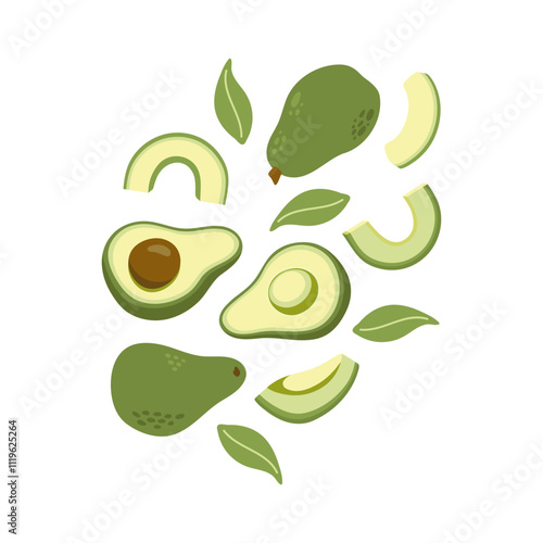 Green avocado flatlay print with leaves and slice. Hand drawn cartoon fruit illustration.