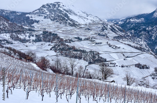 vignoble valaisan en hiver photo