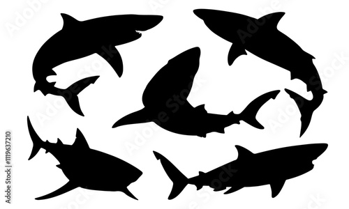 Black shark silhouette collection. Set of different shark silhouette on a white background photo