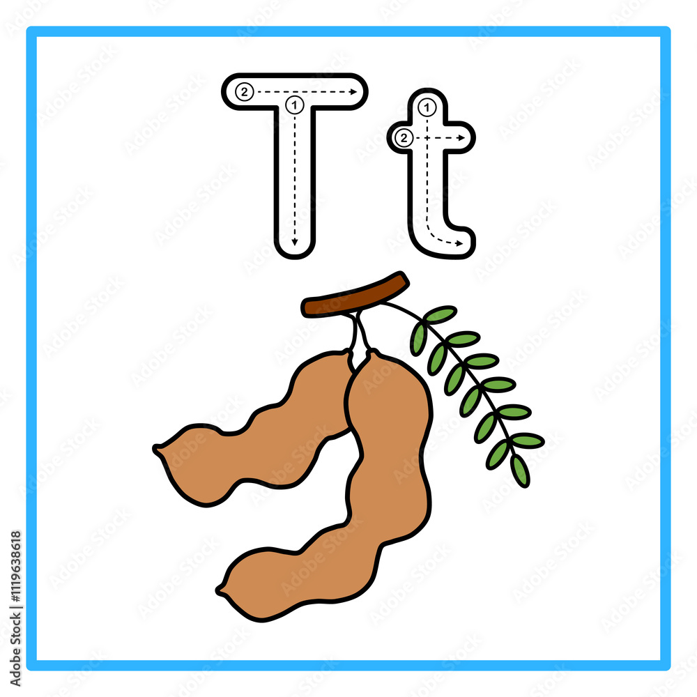 tracing alfabet flat tamarind illustration tracing alfabet flat tamarind illustration