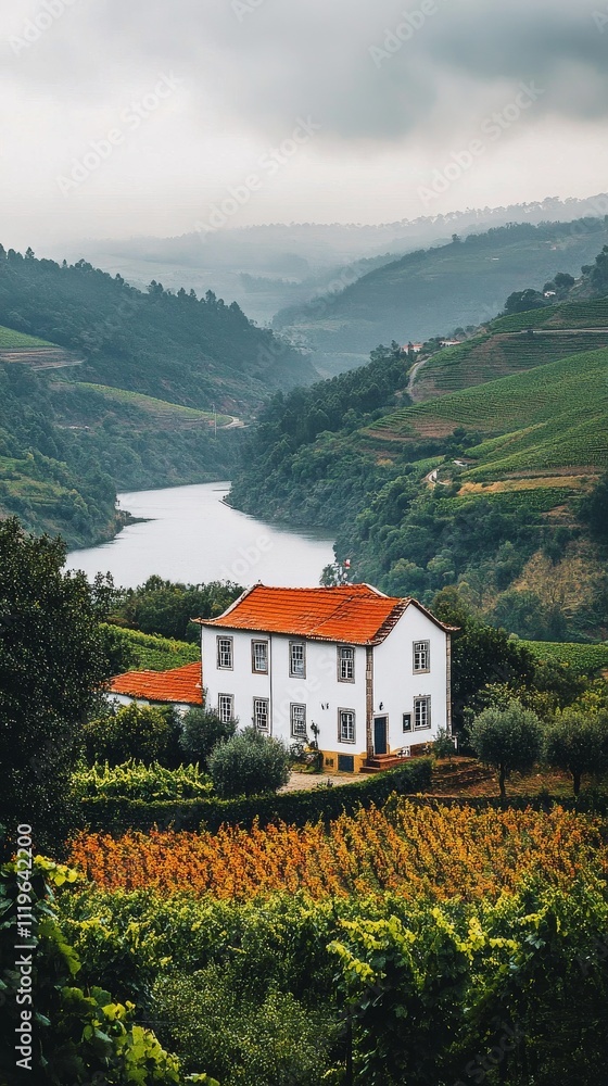 Scenic view of a vineyard house by a tranquil river in a lush valley during overcast weather Scenic view of a vineyard house by a tranquil river in a lush valley during overcast weather