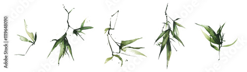 Watercolor exotic greenery set. Green bamboo branches, leaves and twigs.