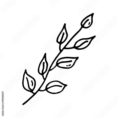 Branch with leaves. Plant. Doodle. Vector illustration. Hand drawn. Outline.