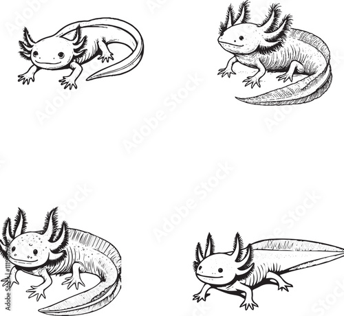 Hand-Drawn Axolotl Illustrations Set