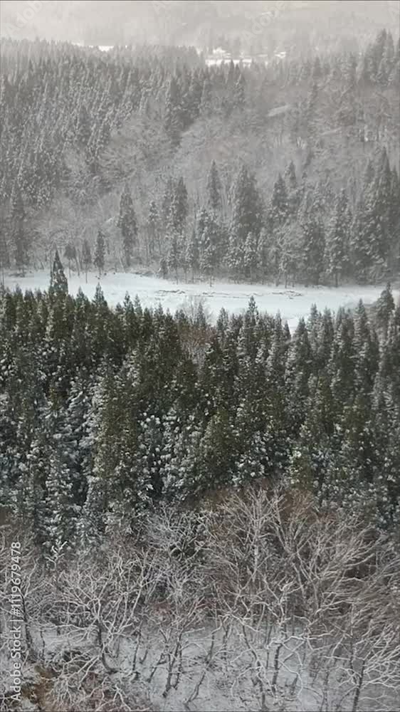 雪が降る森林 山の風景 冬 イメージ 空撮 雪が降る森林 山の風景 冬 イメージ 空撮