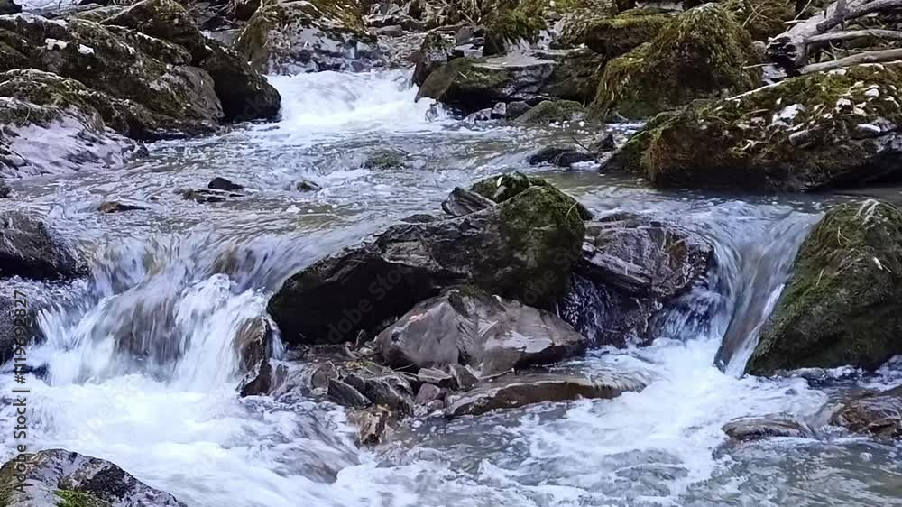 The bed of a mountain stream flows around a large stone in a rapid stream on a cloudy autumn morning in a dense forest. The bed of a mountain stream flows around a large stone in a rapid stream on a cloudy autumn morning in a dense forest.