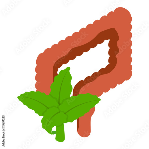 treating digestive illnesses with cannabinoid isometric concept, Gut feelings endocannabinoid vector design, Cannabis and marijuana symbol, thca and cbda sign, recreational herbal drug illustration