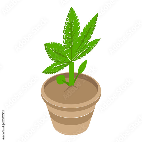 greenish-gray mixture of the flowers pot isometric concept, Hemp Plant vector icon design, Cannabis and marijuana symbol, thca and cbda sign, recreational herbal drug stock illustration