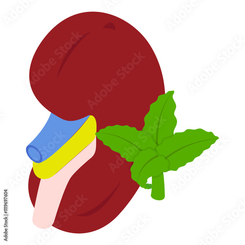 Smoking Weed Kidney and  renal failure isometric concept, synthetic cannabinoids helps chronic kidney disease vector icon design, Cannabis and marijuana symbol, thca and cbda sign, recreational herbal