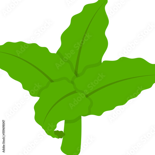 marihuana Male Leaf isometric concept, cannabigerol Plant vector icon design, Cannabis and marijuana symbol, thca and cbda sign, recreational herbal drug stock illustration