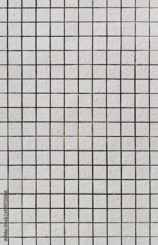 Obraz na płótnie Pads texture background in white w salonie