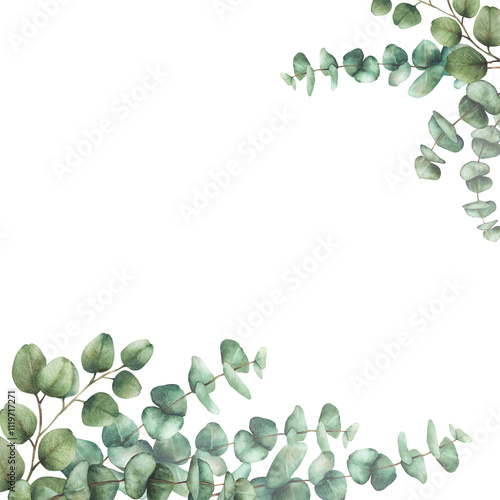 Eucalyptus plant square frame Greenery Watercolor arrangement Green silver dollar tree branches with round leaves hand drawn illustration. Template for wedding, greeting card isolated from background 
