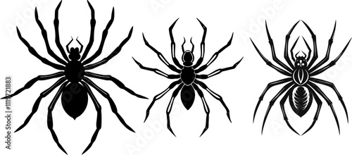 Vector illustration of a realistic black spider silhouette bundle in flat style with a transparent background.