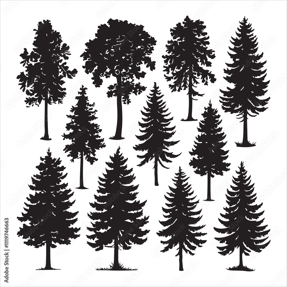 Obraz premium forest tree silhouette 