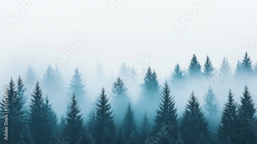 Misty forest landscape with evergreen trees.