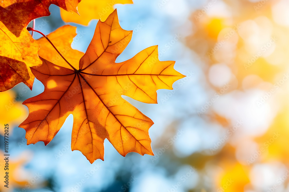 Close-up of vibrant orange maple leaf against a blurred autumn background. Close-up of vibrant orange maple leaf against a blurred autumn background.