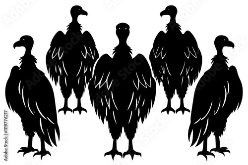 vulture silhouette set vector. photo