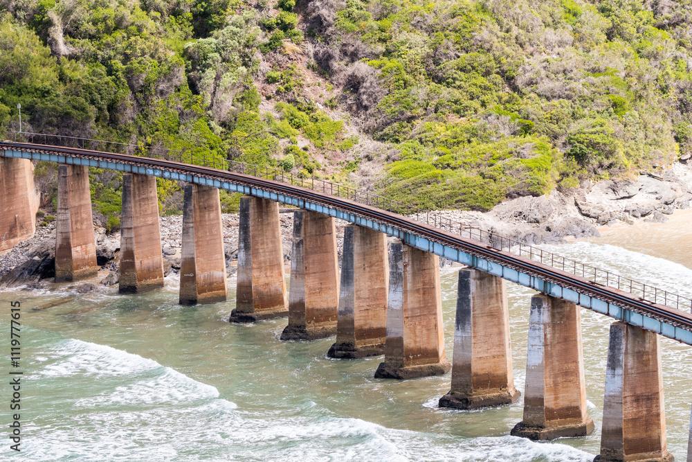 Kaaimansrivier railway bridge iconic historic railway line on the Garden Route, South Africa now disused and not working concept civil engineering infrastructure Kaaimansrivier railway bridge iconic historic railway line on the Garden Route, South Africa now disused and not working concept civil engineering infrastructure