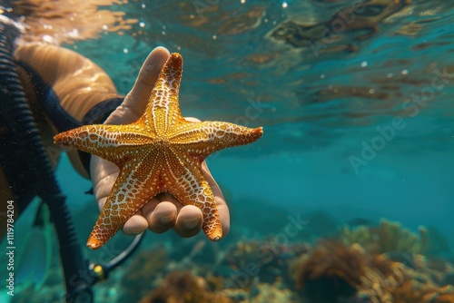 A person holds a starfish in their hand, a moment of connection with nature photo