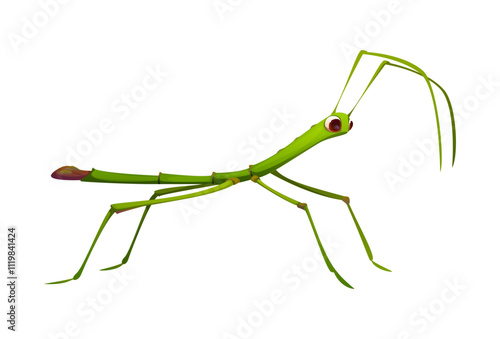 Cartoon funny stick insect character with exaggerated limbs and vibrant green color. Isolated vector funny Phasmatodea tropical bug or pest, fauna creature with long legs and antennas for camouflage