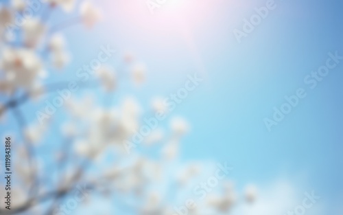 Blossoming flowers under a clear blue sky on a sunny day in spring photo