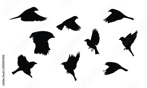 Flying Sparrow Bird Silhouette Design  And Vector Illustration. 