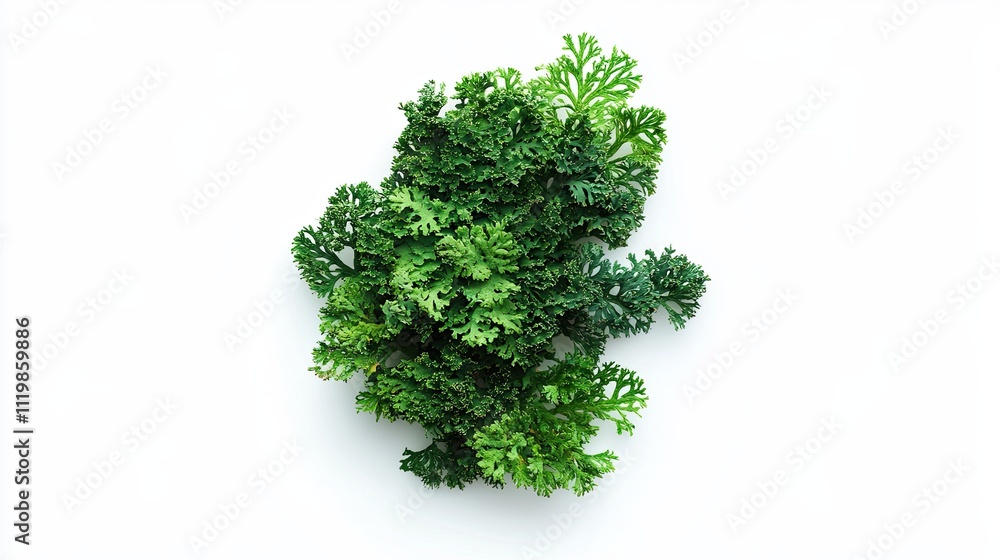 Fototapeta premium Artificial Green Plant, Sprig, Decoration