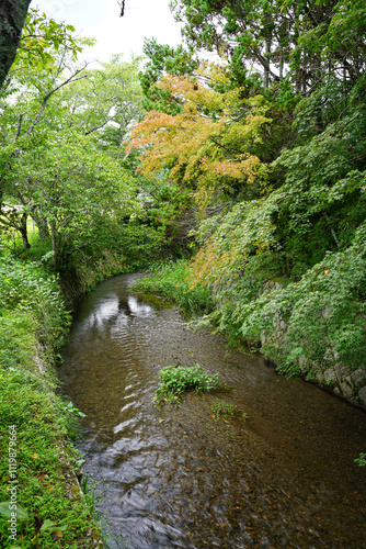 奥嵯峨直指庵の境内風景